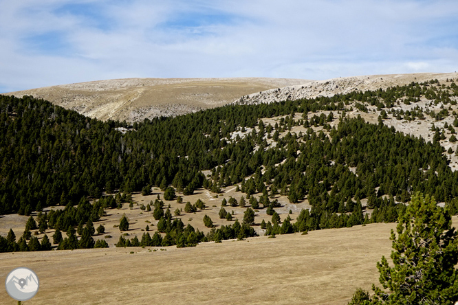 Pedró dels Quatre Batlles (2.386m) 1 