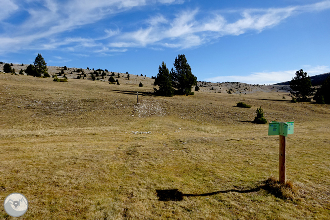 Pedró dels Quatre Batlles (2.386m) 1 