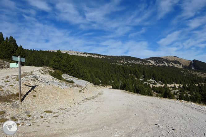 Pedró dels Quatre Batlles (2.386m) 1 