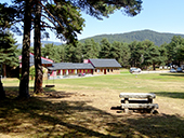 Por los bosques de Sant Joan de l