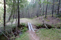 Camino al barranco de Els Forcats.