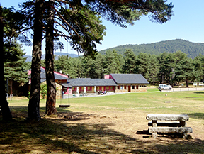 Por los bosques de Sant Joan de l´Erm