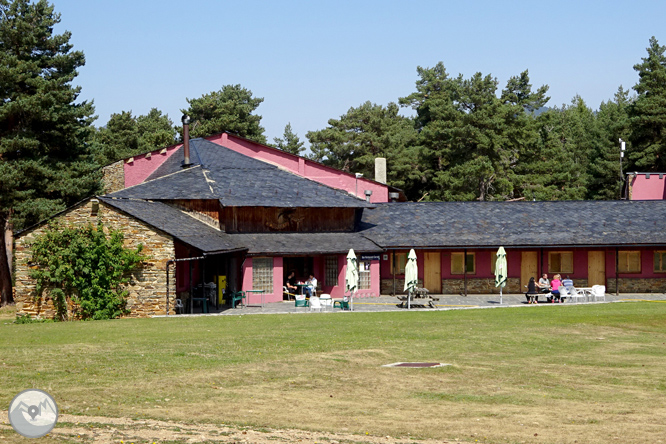 Por los bosques de Sant Joan de l