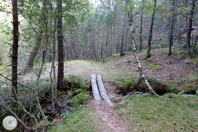 Por los bosques de Sant Joan de l