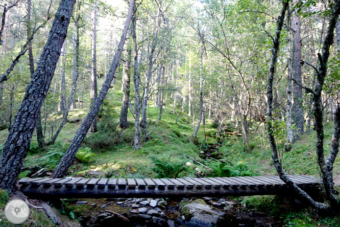 Por los bosques de Sant Joan de l