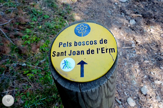 Por los bosques de Sant Joan de l
