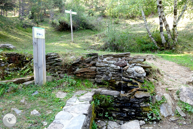 Por los bosques de Sant Joan de l