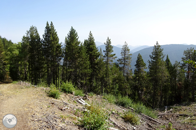 Por los bosques de Sant Joan de l