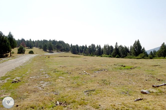 Por los bosques de Sant Joan de l