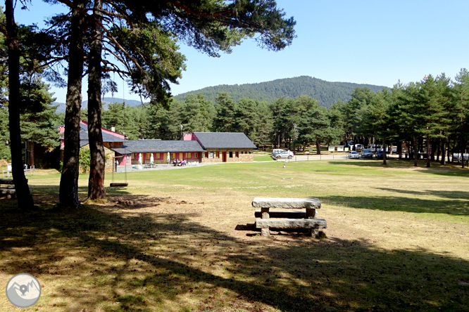 Por los bosques de Sant Joan de l