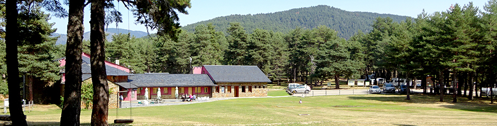 Por los bosques de Sant Joan de l´Erm