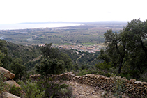 Camino de herradura que baja hacia Palau-saverdera, con muros de piedra seca.