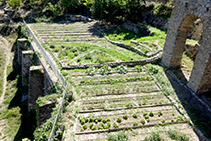 Huerta del monasterio, hoy en día cuidado por el personal del restaurante.