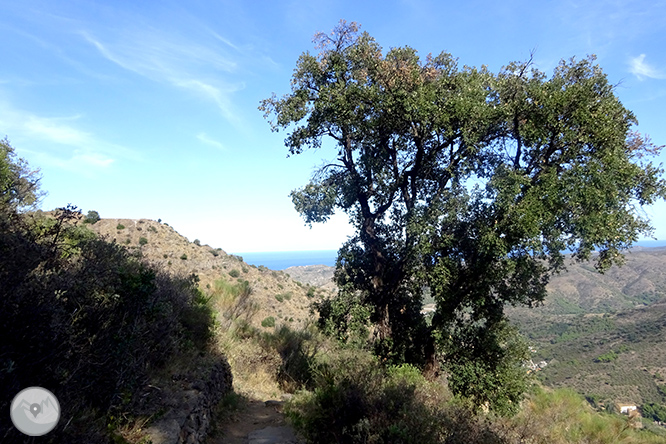 Por los dominios de Sant Pere de Rodes 1 