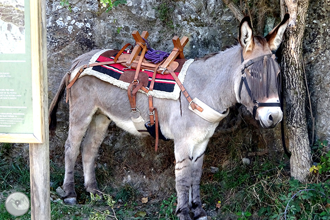 Por los dominios de Sant Pere de Rodes 1 