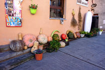 Colección de calabazas en la calle Mayor.