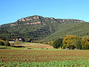 Por antiguos caminos de monjes en Sant Julià del Mont