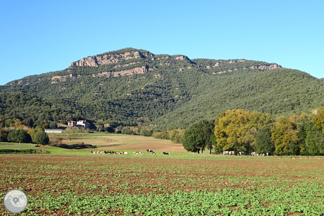 Por antiguos caminos de monjes en Sant Julià del Mont 1