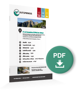 pdf-ruta