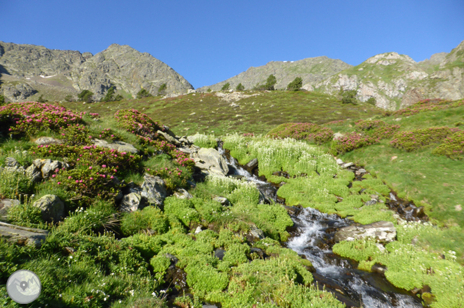 Lagos de Ransol y pico de la Serrera (2.913m) 1 