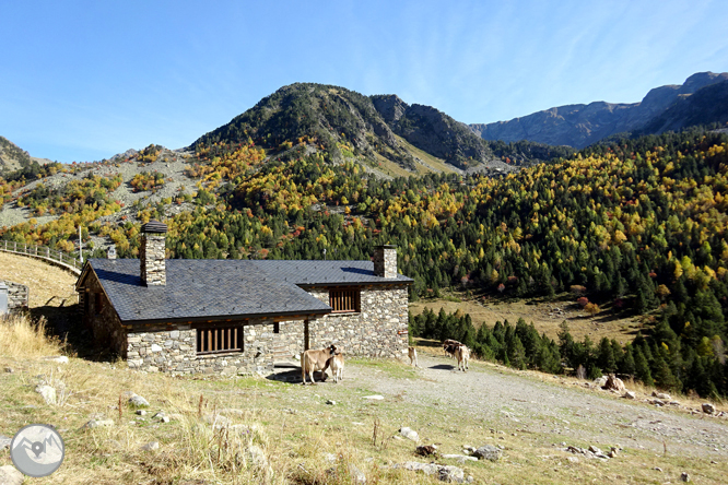 Pico de la Serrera (2.913m) por el valle de Sorteny 1 