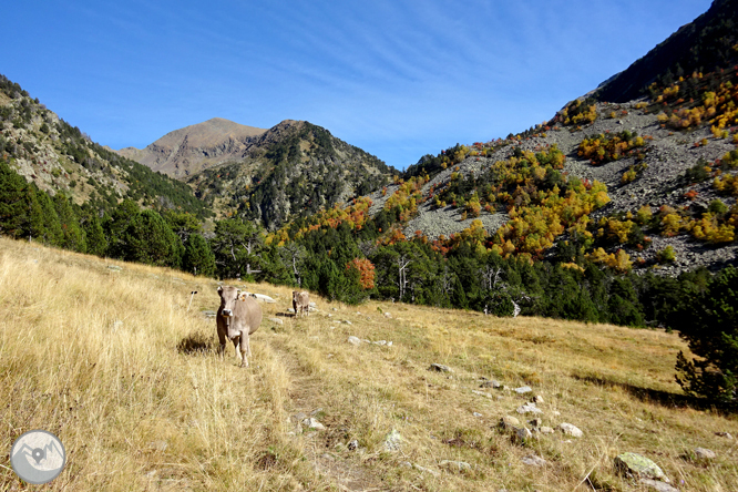 Pico de la Serrera (2.913m) por el valle de Sorteny 1 