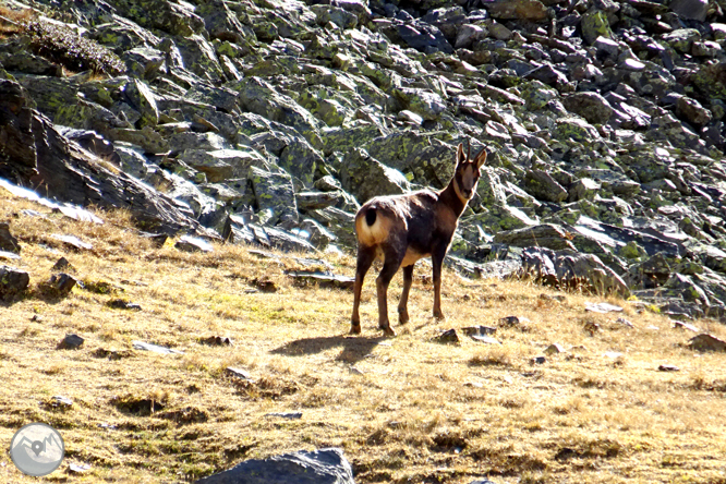 Pico de la Serrera (2.913m) por el valle de Sorteny 1 