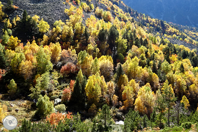 Pico de la Serrera (2.913m) por el valle de Sorteny 1 