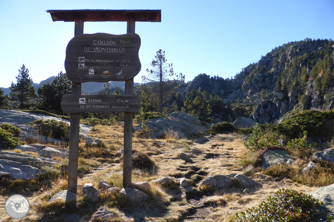 Pico de Montmalús (2.781m) y circo de los Colells 1 