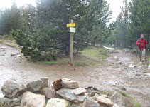 Bifurcación por donde ya hemos pasado de subida, ahora llegamos por el otro sendero.