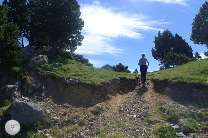 Pico Arlas (2.044m) desde el collado de la Piedra de San Martín 1 