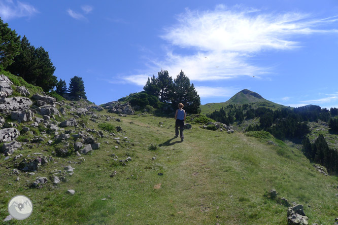 Pico Arlas (2.044m) desde el collado de la Piedra de San Martín 1 