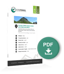 pdf-ruta