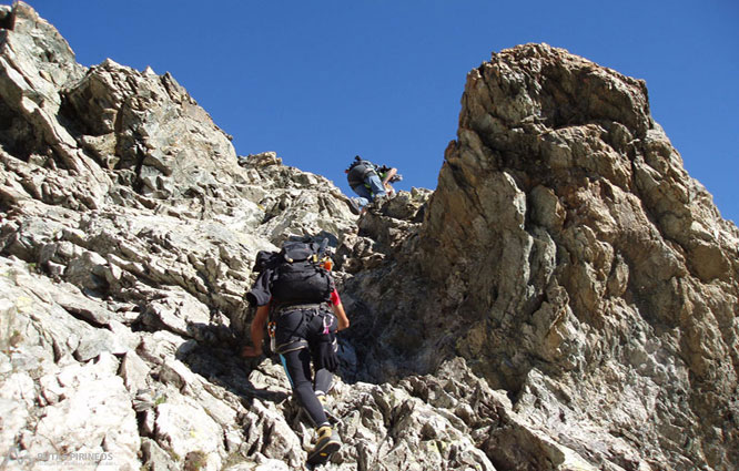 Pico Coolidge (3.775m) 2