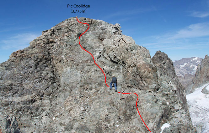 Pico Coolidge (3.775m) 2