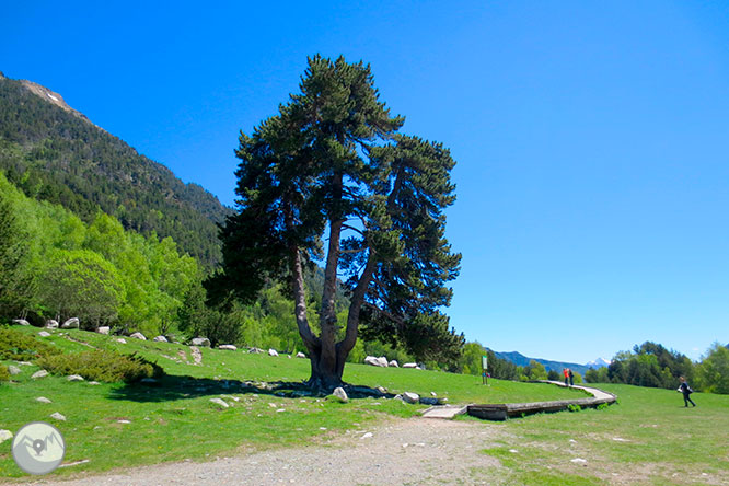 Pico de Amitges (2.848m) y Tuc de Saboredo (2.829m) 1 