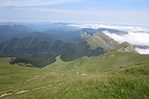 Vistas de la Selva de Irati (O).