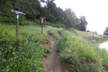 Camino al pico de Casamanya.