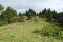 Claro en la cresta de la sierra de Casamanya.