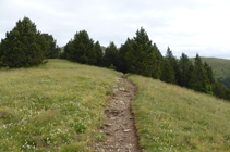 Prados de montaña con hinojo.