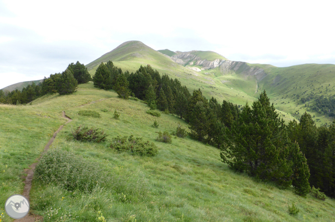 Picos de Casamanya desde el collado de Ordino 1 