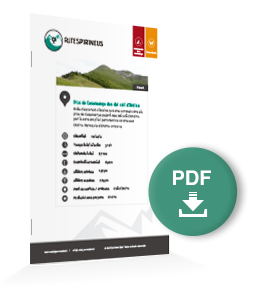 pdf-ruta