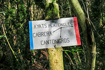 Cartel indicativo “Cabrera - Pla d´Aiats - Cantonigrós”.
