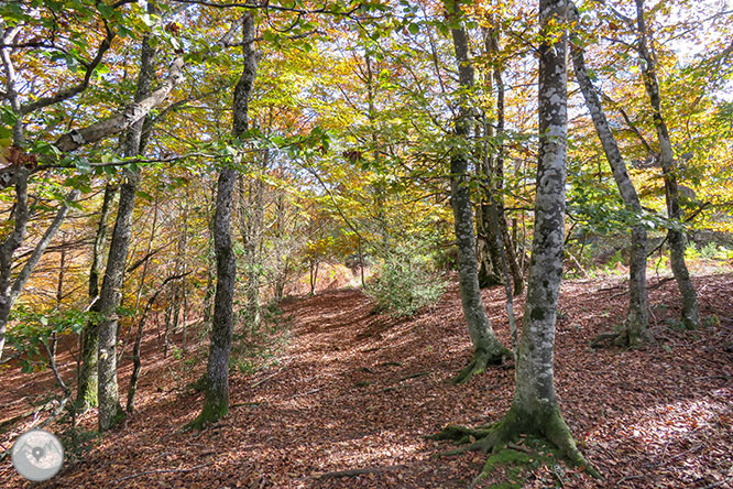 Circular por los riscos y el llano de Aiats 1 