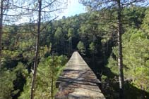 El Puente de la Frau visto desde la orilla derecha orográfica de la Rasa de Cirera.