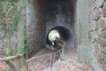 El túnel metálico bajo la C-26 es el inicio del itinerario botánico y un punto de paso obligado.