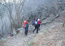 Bajando por el bosque.