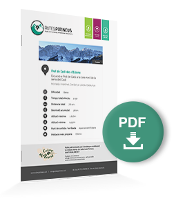 pdf-ruta