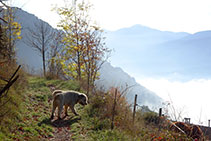 Inicio del sendero que rodea el arroyo de Feló.