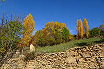 Muro de piedra seca y prado con chopos.